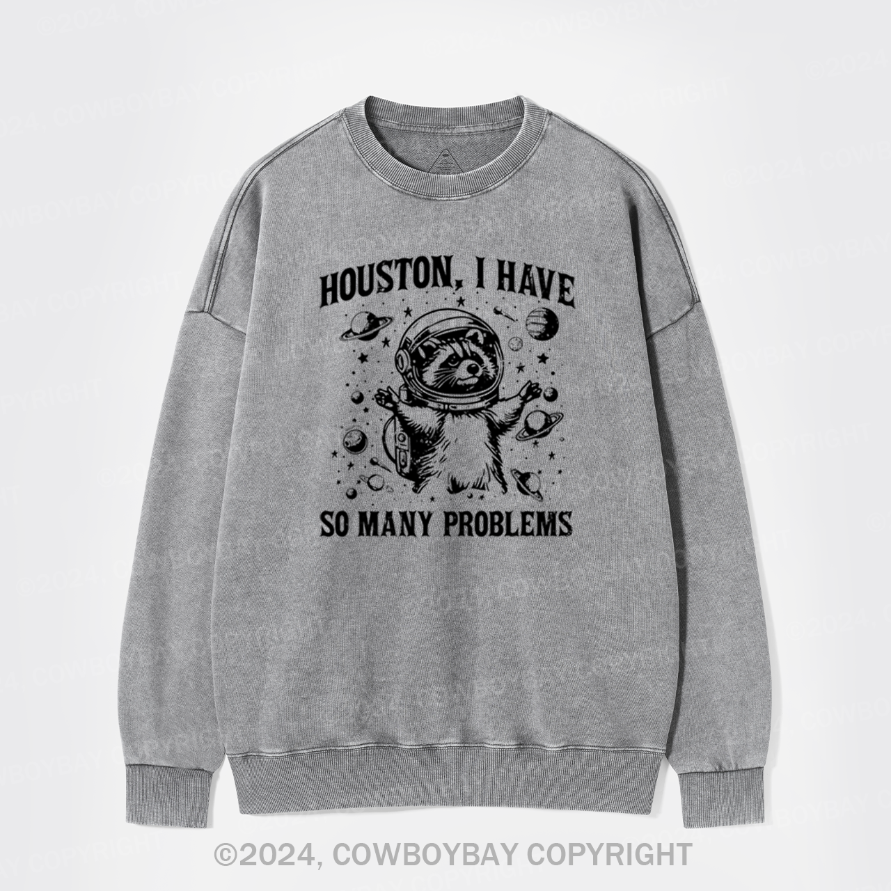 Space Explorer Washed Sweatshirts