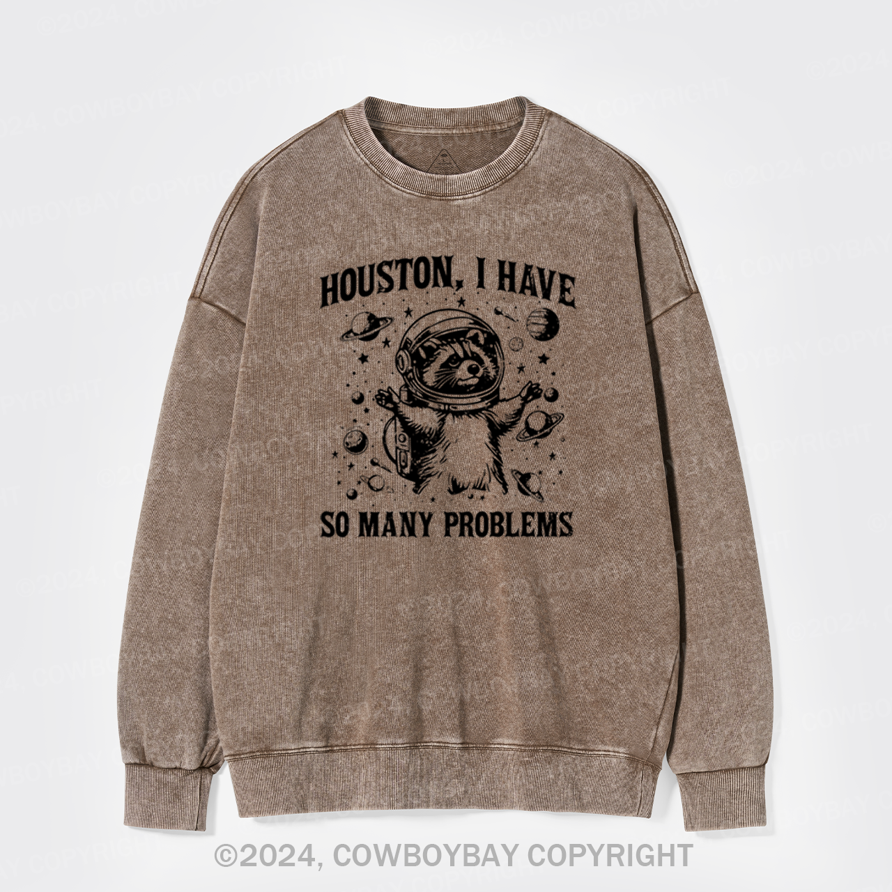 Space Explorer Washed Sweatshirts